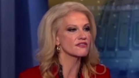 Internet Brutally Mocks Kellyanne Conway's Advice On Drugs