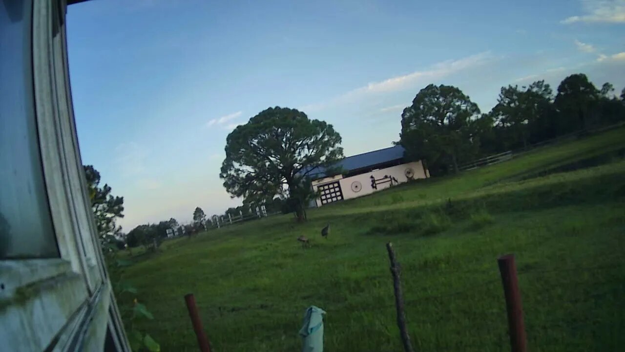 Morning at Venus Ranch