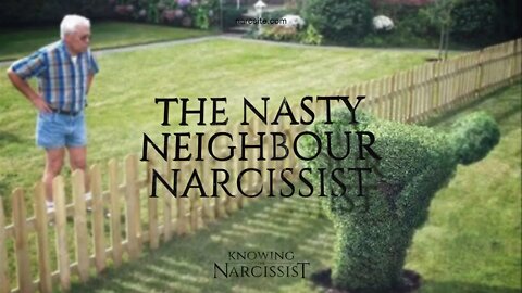 The Nasty Neighbour Narcissist