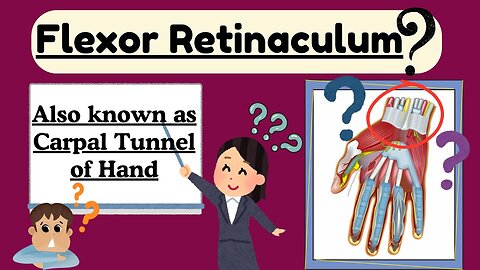 Flexor Retinaculum of Hand | Anatomy of Carpal Tunnel of Hand | Upper Limb Anatomy