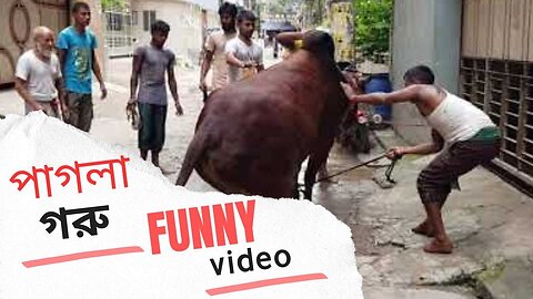 Kurbanir gorur funny video 2023 #funny #funny_video