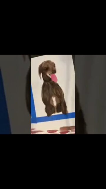 Brown Lab in a Minute Grace D movie