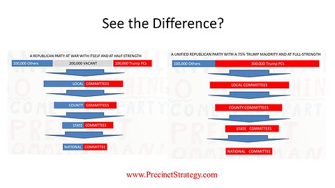 Precinct Strategy Your "Why and How" Guide for Local Political ACTION. Dan Schultz March 2 2023