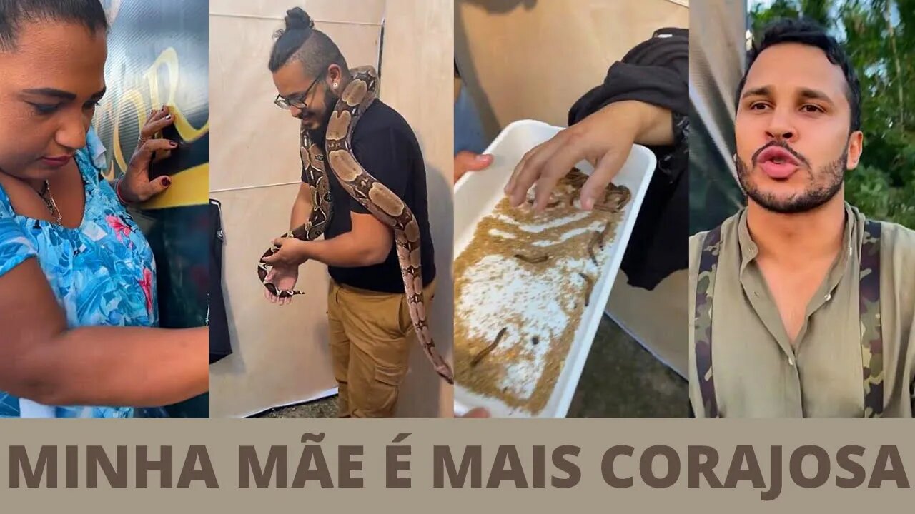 NOVO QUADRO DE LUCAS GUIMARÃES E CARLINHOS MAIA MINHA MÃE É A MAIS CORAJOSA ROLOU MUITA TRETA