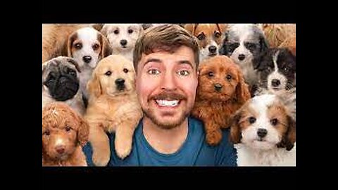 I Rescued 100 Abandoned Dogs!