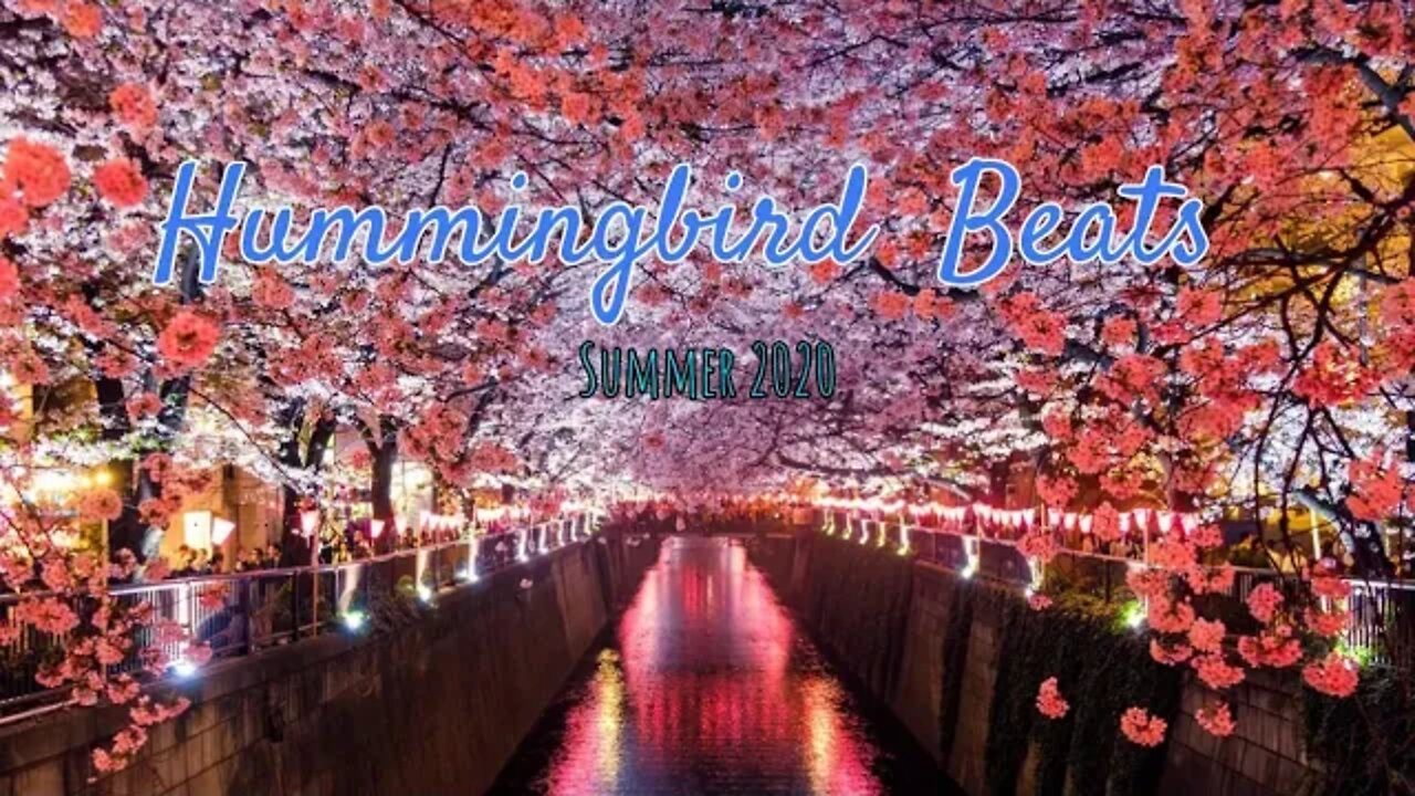 Dance Electronic Bright Sakura 2020 by Roa Music (No Copyright Music)