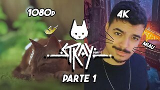 O jogo do gato - Stray- Parte 1