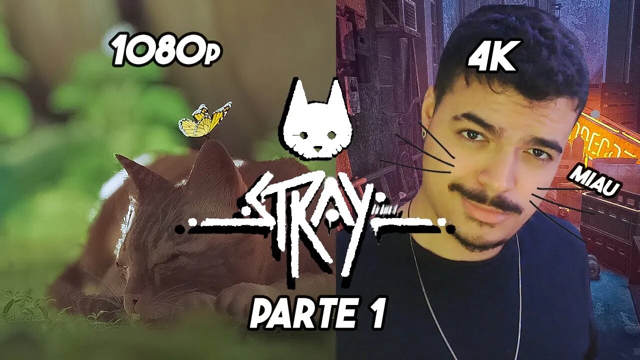 O jogo do gato - Stray- Parte 1