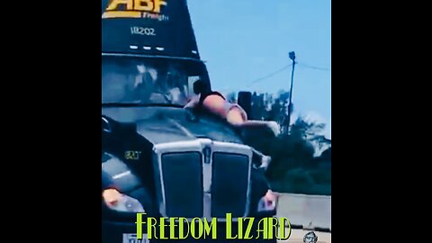 Freedom Lizard