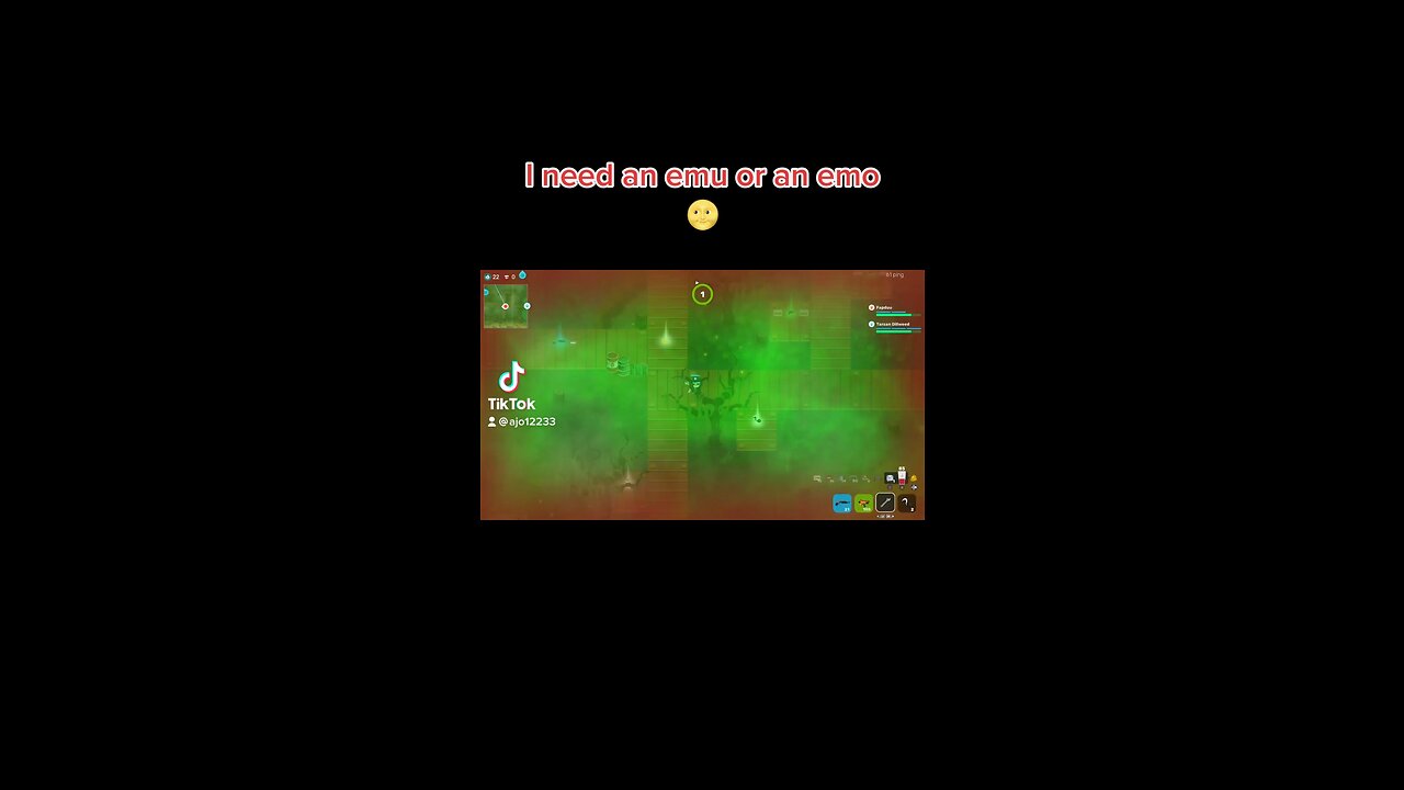 I need an emu or an emo 🌝