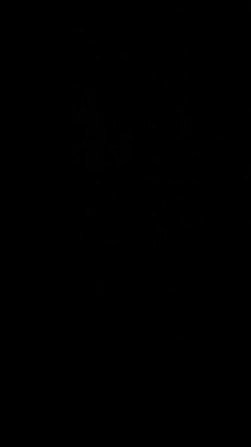 You can never lose your salvation