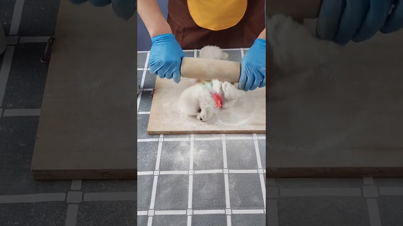 Baby dogs _ Cute and Funny Dogs Videos Compilation 2021