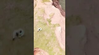 Beautiful view of cliffs in Canada