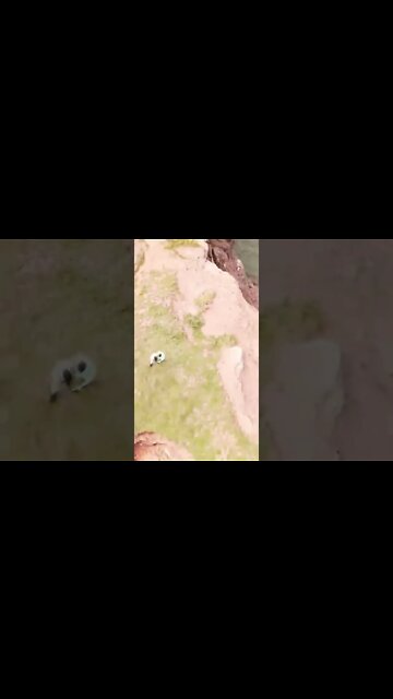 Beautiful view of cliffs in Canada