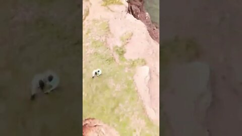 Beautiful view of cliffs in Canada