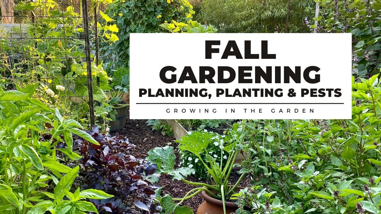 FALL GARDENING in HOT CLIMATES: PLANNING, PLANTING & PESTS