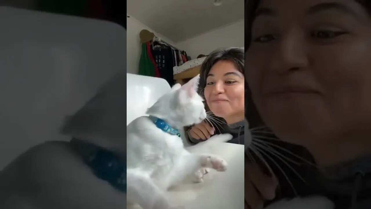 kitty got confused!!😂😂😂😂😍😍