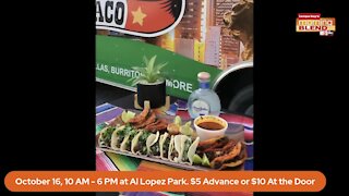 Tampa Bay Taco Festival | Morning Blend