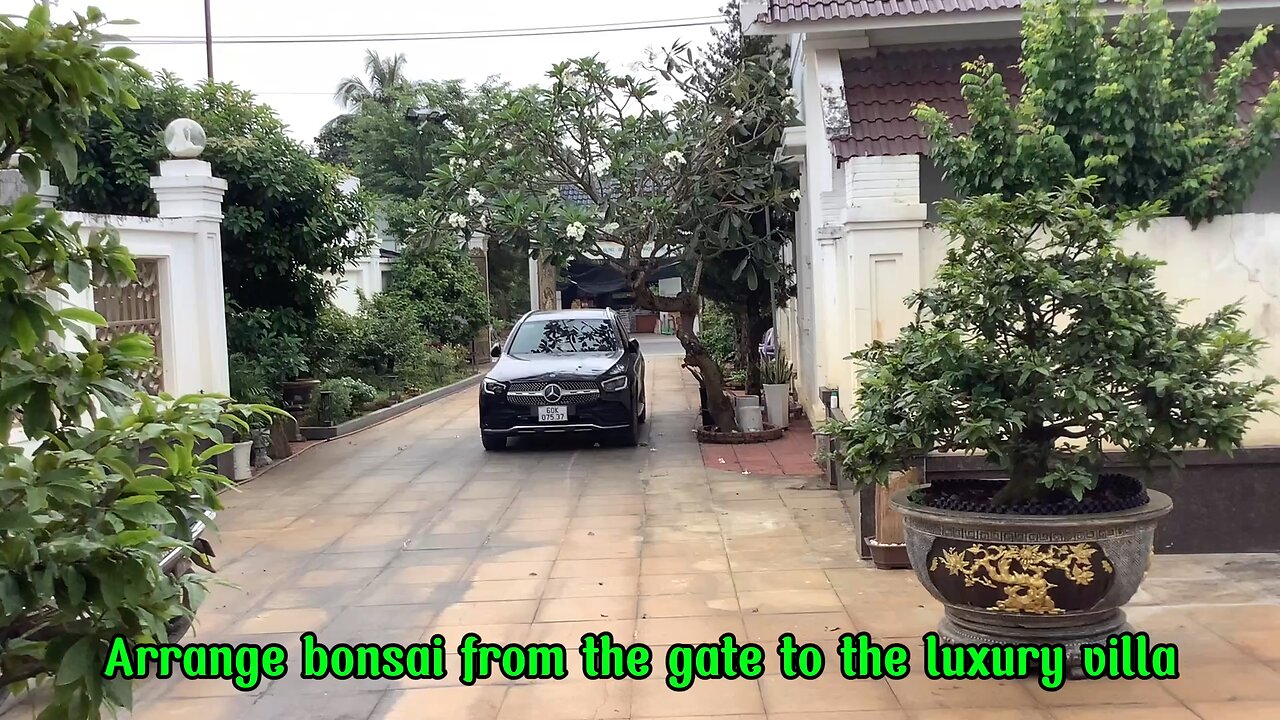 Arrange bonsai from the gate to the luxury villa