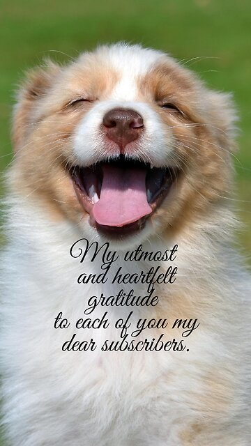 Heartfelt Gratitude to My Inspirational Community