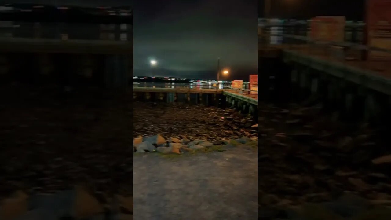 Boardwalk hammocks in downtown Halifax