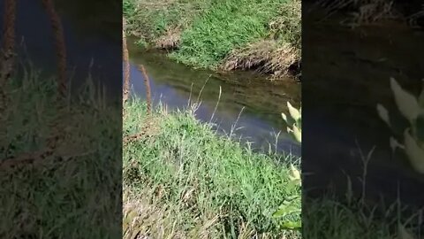 calm your day with this creek