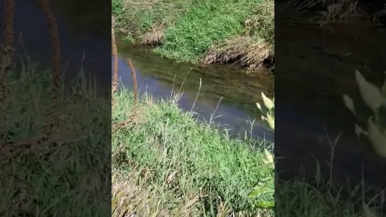 calm your day with this creek