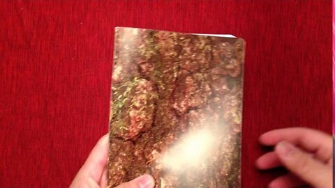 KJV Waterproof Bible Camouflage (Bardin&Marsee Publishing)(Aug 10, 2016)