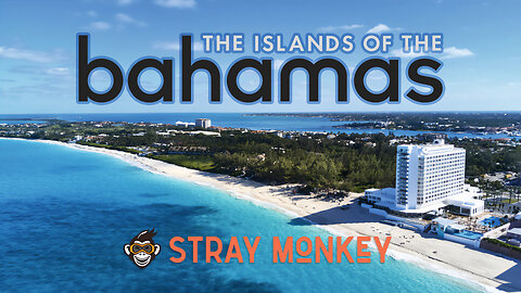 Traveling to the Bahamas - A Stray Monkey Trip