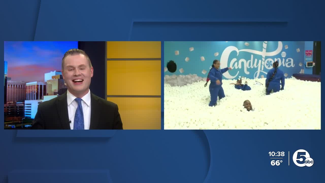 Outrageously interactive candy wonderland