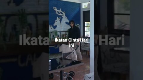 ikatan cinta hari ini #subscribe