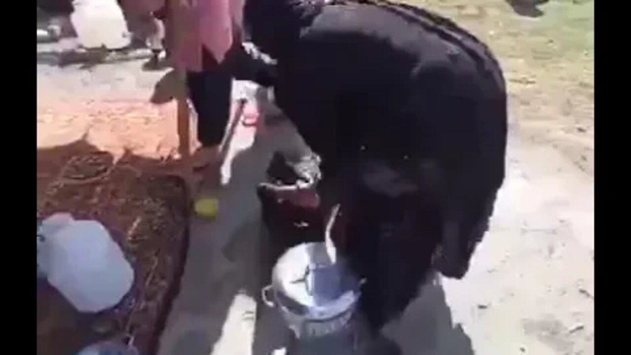 ۲۶ اوت ۲۰۲۲