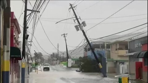 Milwaukee woman rescues puppy all while overcoming two hurricanes between Puerto Rico and Florida