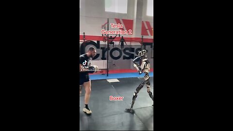 Tesla generation 2 boxer!