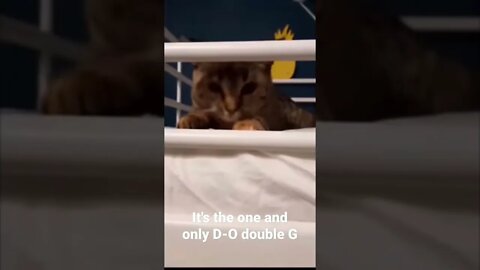 MEME is the one and only D-O double G #shorts