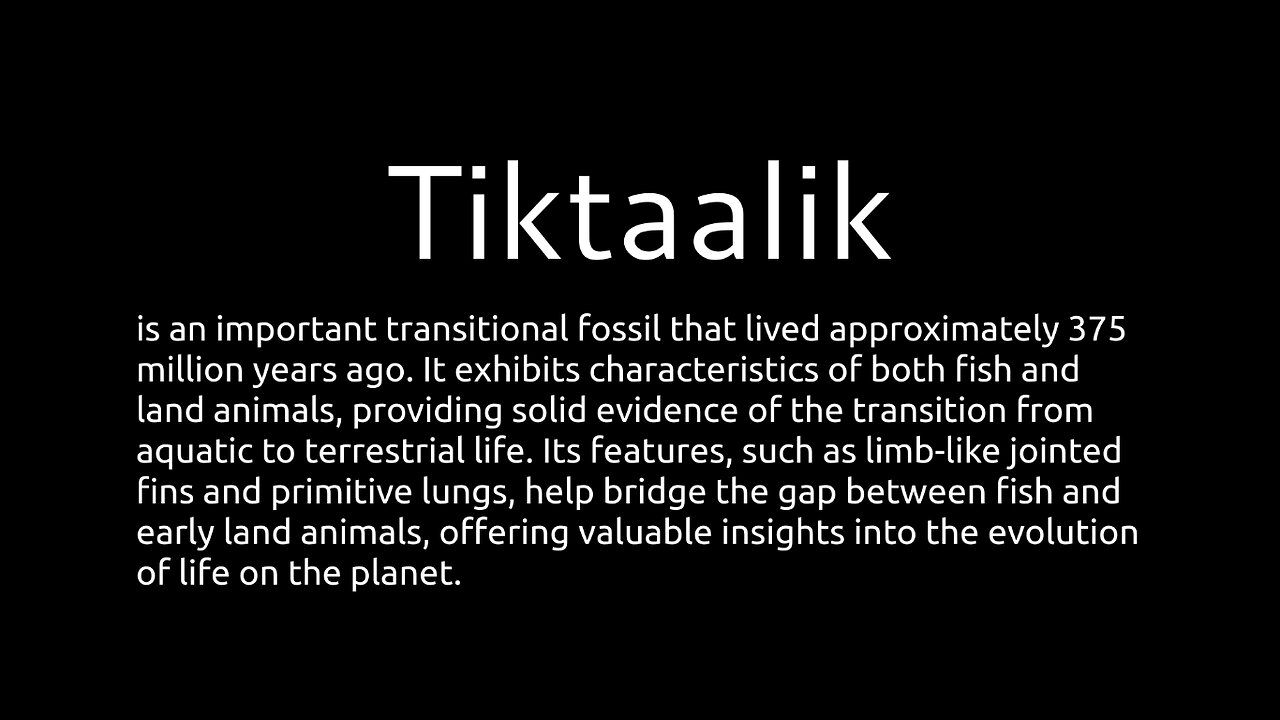 my little Tiktaalik