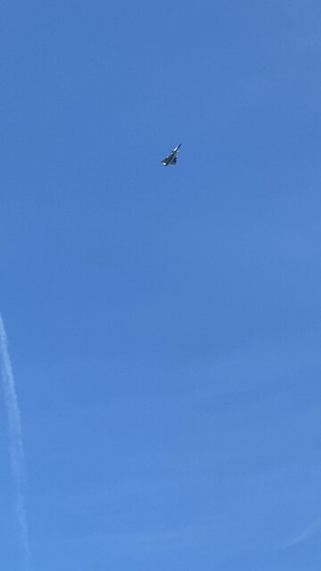 F16 Over Jax