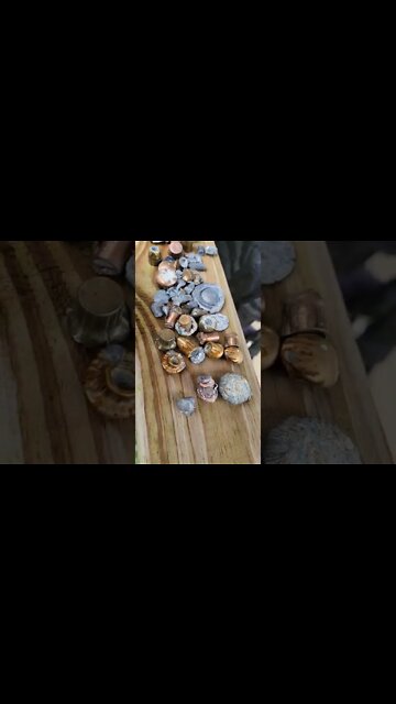 Boolot collection!!! #shorts