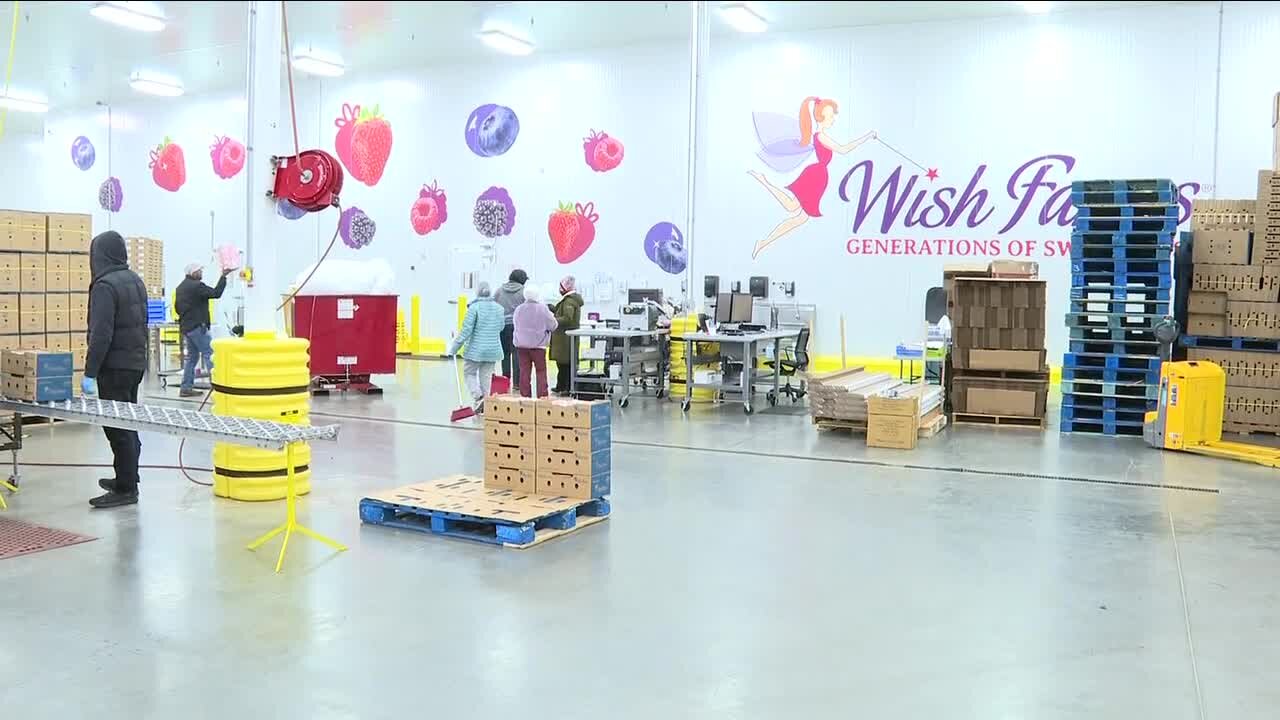 Wish Farms celebrates 100th anniversary