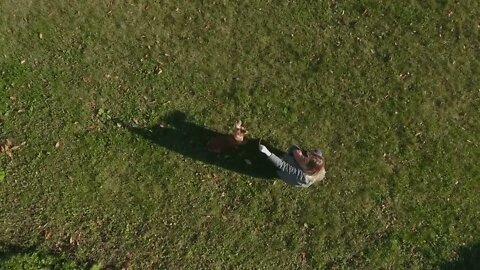 The girl plays with cocker spaniel on grass outdoors