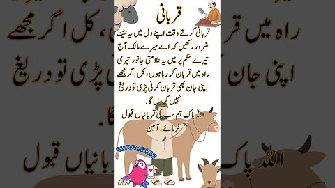 Qurbani Allah k liye shorts Urdu viral