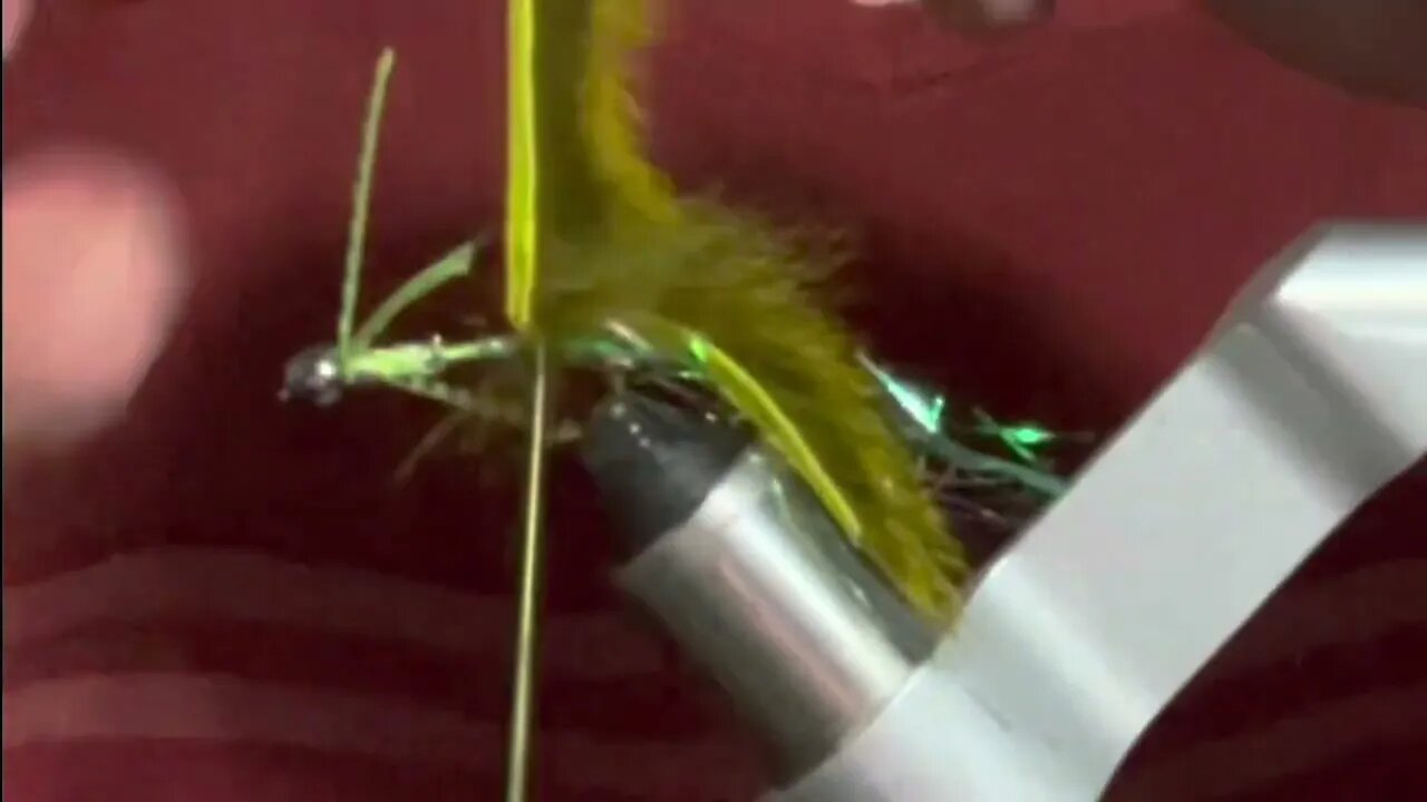 #10 Hook Pickle Bugger #fishing #flyfishing #flytying #shorts