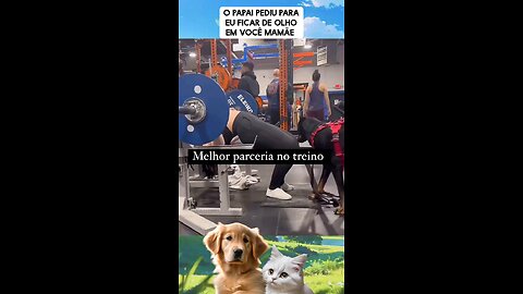 Um parceiro bem treinado.