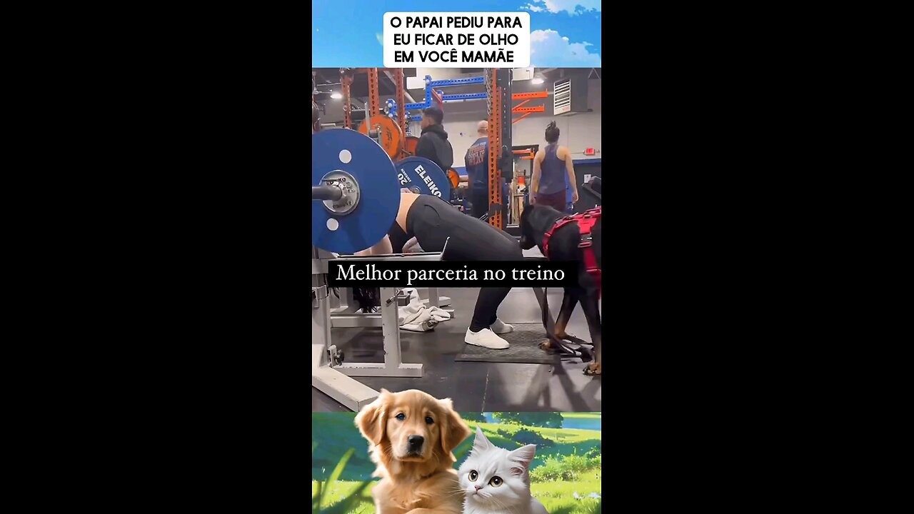 Um parceiro bem treinado.