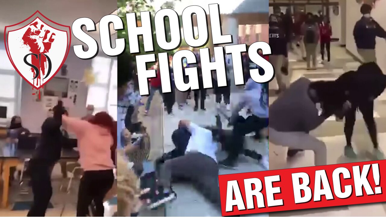 School Fights Are Back!