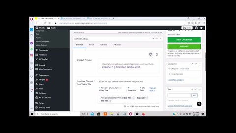 Record Button Wpstream WordPress Settings