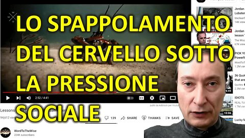 Lo spappolamento del cervello sotto il peso dello stormo-Scienza e società-La lezione dalle aragoste