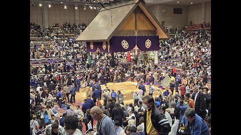 Wakamiyabi / Fukai day4 Kyushu 2024