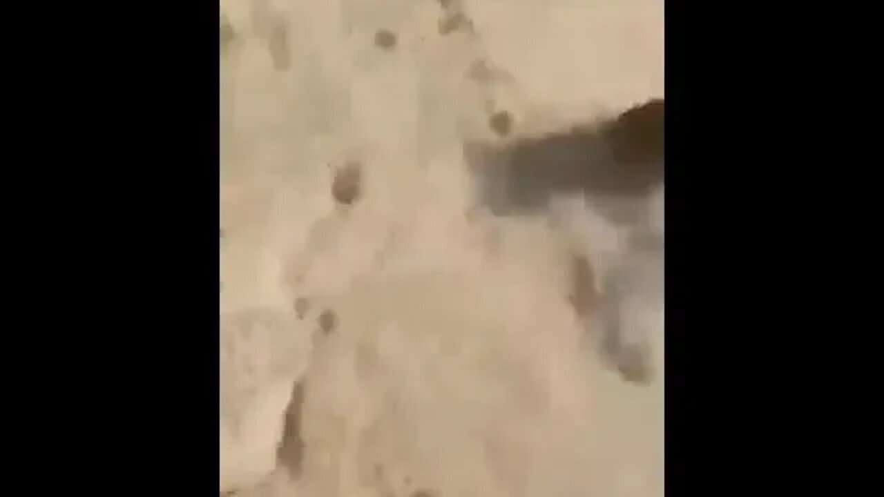 ۲۶ اوت ۲۰۲۲