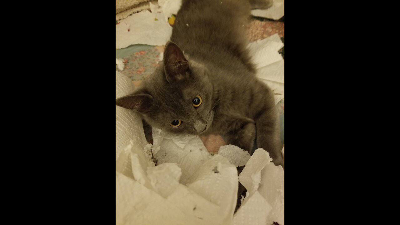 Ella Protecting the...